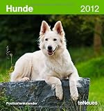 Hunde 2012. Postkartenkalender