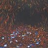 Image of album by Lisa Germano