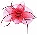 Womens Big Flower Mesh Feather on Hair Clip Headwear Fascinator