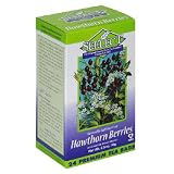 Seelect Tea, Tea Bags, Hawthorn Berries, 24-Count Boxes (Pack of 6)