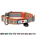 Pawtitas Personalized Dog Collar Refelctive Dog Collar Padded Dog Collar with Name Phone Number Puppy Collar Adjustable Customized Collar for Large Dogs Breeds | Orange Custom Large Dog