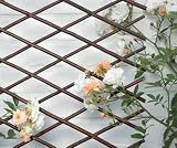 Flexibles Weidenspalier - 2er Set