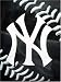 New York Yankees 60
