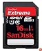 SanDisk Extreme 16 GB SDHC Class 10 UHS-1 Flash Memory Card 45MB/s SDSDX-016G-X46
