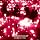 NIGHT ON FOOL(初回限定盤)(DVD付)