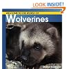 Wolverines (Welcome to the World Series)