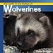 Welcome to the World of Wolverines (Welcome to the World Series)