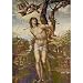 Sodoma (St. Sebastian and Madonna with Saints) Art Poster Print - 13x19