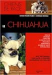 Le chihuahua