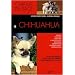 Le chihuahua