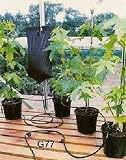 GARLAND BIG DRIPPA WATERING SYSTEM