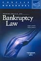 Principles of Bankruptcy Law (Concise Hornbook)