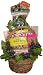 Healthnut Nut Lover Healthy Gift Basket