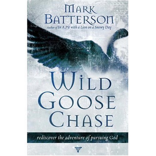 Wild Goose Chase: Rediscover the Adventure of Pursuing God under Pneumatology in The Books Store