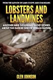 Lobsters and Landmines: Another Nine Disturbing Short Stories about the Darker Side of Human Nature (Vol. 2)