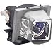 PC Hardware : Replacement Lamp/Bulb for Dell M209X/M409WX 311-8529 GW905 GW309