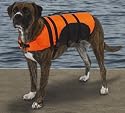Guardian Gear Aquatic Pet Preserver - Life Jacket for Dogs - Orange - Medium