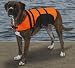 Guardian Gear Aquatic Pet Preserver - Life Jacket for Dogs - Orange - X-Small (XS)