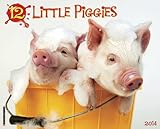 Cover for 9781607557784