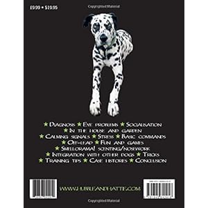 My Dog is Blind: But Lives Life to the Full!