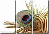 Framed Huge 3 Panel Art Bird Feather Eye of Peacock Giclee Canvas Print