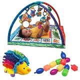 Fisher-Price Songs & Smiles Discovery Gym Plus Developmental Toy Bundle