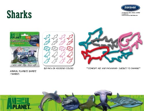 Forever Collectibles Animal Planet Shark Logo Bandz Bracelets