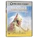 John Paul II: The Millennial Pope