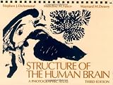 Structure of the Human Brain: A Photographic Atlas