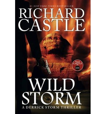 Wild Storm: A Derrick Storm Thriller by Castle, Richard (2014) Hardcover