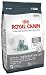 Royal Canin Dry Cat Food, Oral Sensitive 30 Formula, 6-Pound Bag