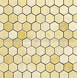 Jerusalem Gold Hexagon Tumbled Mosaic