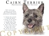 Cairn Terrier Human Trainer Adult Long Sleeve T Shirt