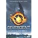 Divergent, Tome 1 :
