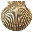 Sea Scallop Door Knocker Brass