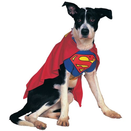 Halloween Costumes for Jack Russell Terriers