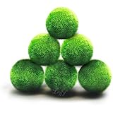 Kid's Nano Luffy Ball - Nano Marimo Moss ball for beginner tanks, craft and education