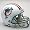 Miami Dolphins