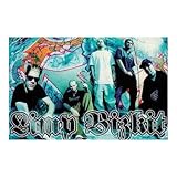 (22x34) Limp Bizkit (Group, Graffiti Wall) Music Poster Print