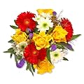 Blumenversand Blumenstrau� "Alles Gute"