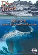 Dive Travel - Belize - Home of the Famous Blue Hole