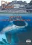 Dive Travel - Belize - Home of the Famous Blue Hole