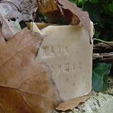 AllNaturalRainForestwithCocoaButterandBrazilianAlmondsandHazelnutOilSoap7.5Oz