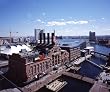 Baltimore's Inner Harbor - Striking 16x20 Photographic Print by Carol M. Highsmith