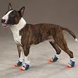LARGE - BLUE - LIGHT-UP Canvas Sneakers