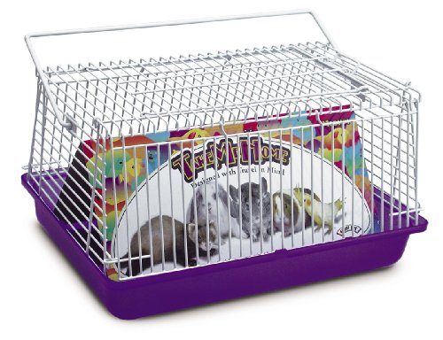Super Pet Guinea Pig Take Me Home Medium Travel Carrier, Colors Vary