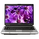 Toshiba Satellite A135-S4437 15.4" Widescreen Laptop (Intel Core Duo Processor T2250, 2 GB RAM, 160 GB Hard Drive, SuperMulti DVD Drive, Vista Premium)