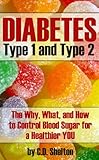 Diabetes (Diabetes: Type 1 and Type 2 The Why, What, and How to Control Blood Sugar For a Healthier You)