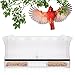 Premium Window Bird Feeder ✪ Extra Large Crystal Clear Acrylic with Removable Tray ✪ Bonus Personalization Stickers to Make It Unique and Fun for Kids and Cats