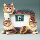 Maine Coon Cat Picture Frame (4x6)